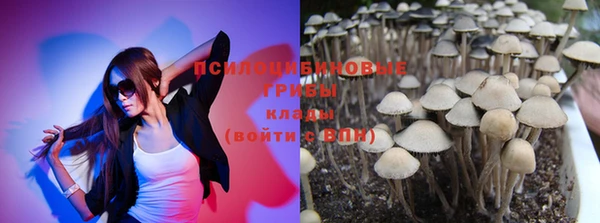 не бодяженный Бородино