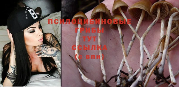 синтетический гашиш Усолье-Сибирское