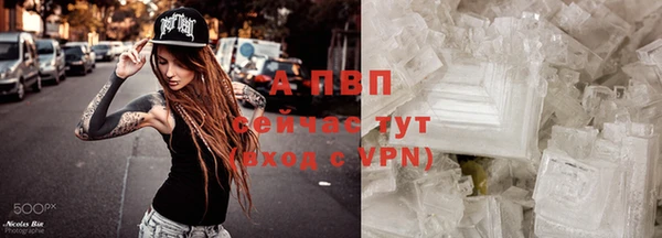не бодяженный Бородино