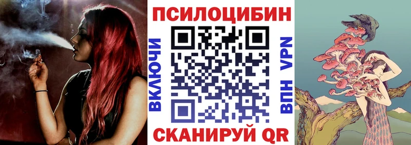кракен сайт  Тамбов  Псилоцибиновые грибы ЛСД 